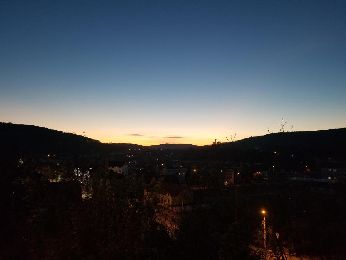 סיגישוארה Pensiunea Lelila Inn מראה חיצוני תמונה