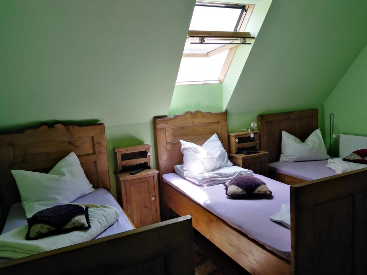 סיגישוארה Pensiunea Lelila Inn מראה חיצוני תמונה