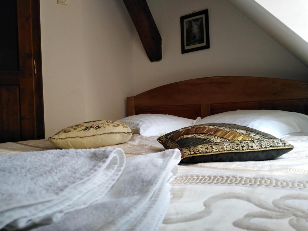 סיגישוארה Pensiunea Lelila Inn מראה חיצוני תמונה